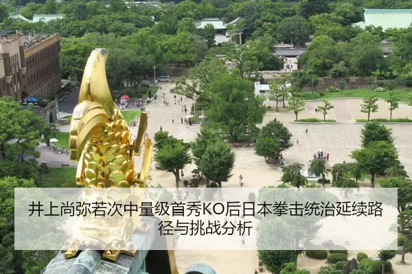 jing-shang-shang-mi-ruo-ci-zhong-liang-ji-shou-xiu-hou-ri-ben-quan-ji-tong-zhi-yan-xu-lu-jing-yu-tiao-zhan-fen-xi-2-844.jpg