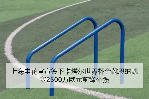 上海申花官宣签下卡塔尔世界杯金靴恩纳凯塞2500万欧元前锋补强